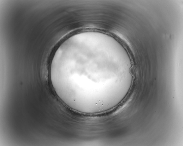 X0000088740925200706212054