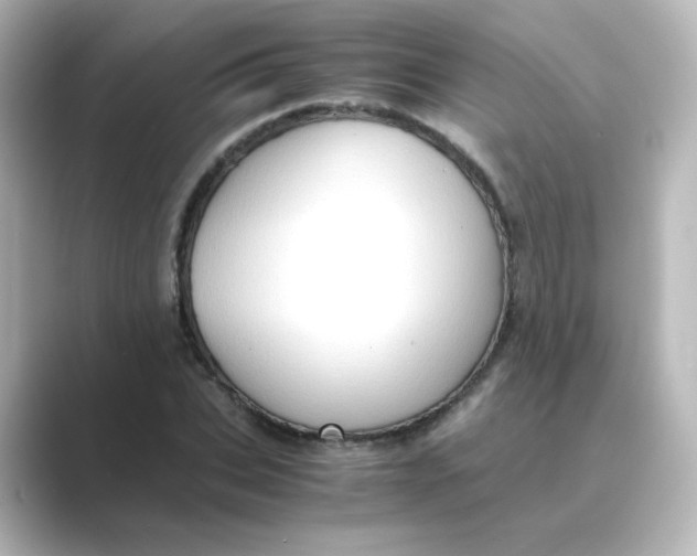 X0000088740927200706212054