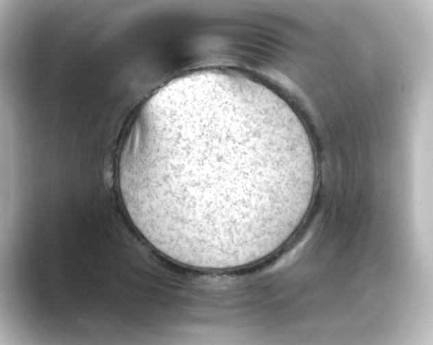 X0000088740929200706212054