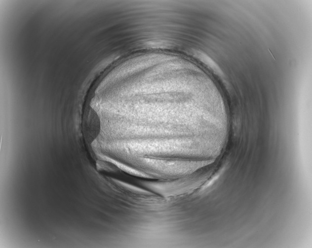 X0000088740930200706212054