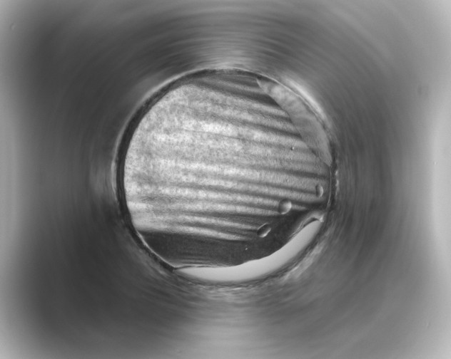 X0000088740932200706212054