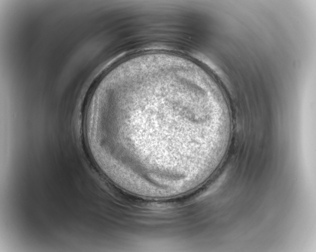 X0000088740933200706212054