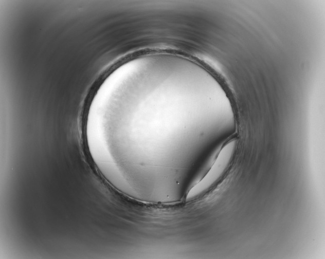 X0000088740935200706212054