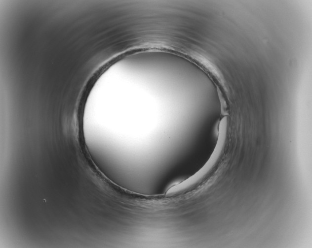 X0000088740936200706212054