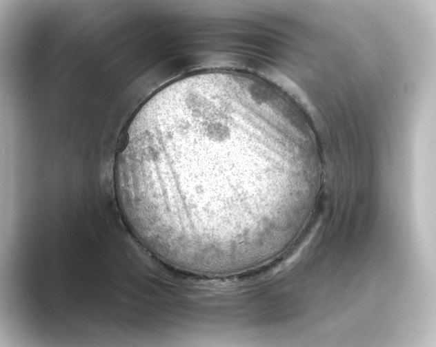 X0000088740937200706212054