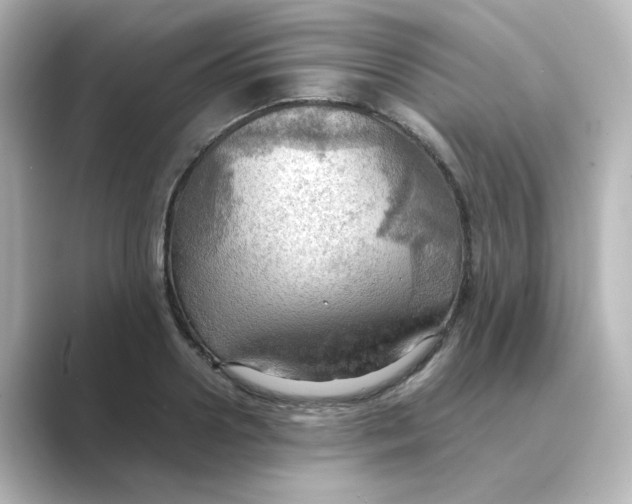 X0000088740938200706212054