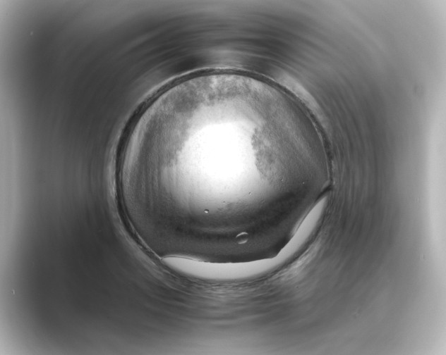 X0000088740939200706212054