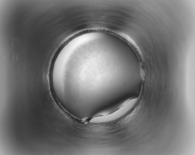 X0000088740943200706212054