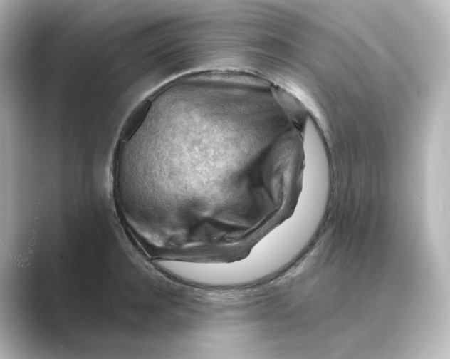 X0000088740944200706212054