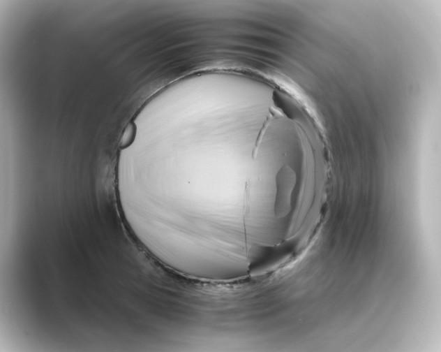 X0000088740945200706212054