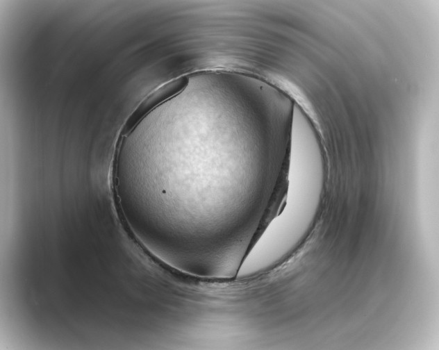 X0000088740946200706212054