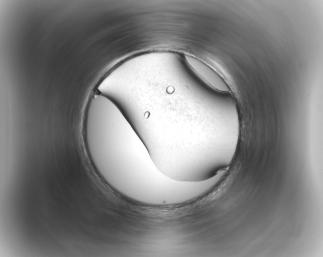 X0000088740948200706212054
