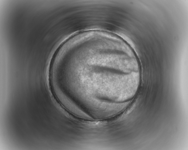X0000088740949200706212054