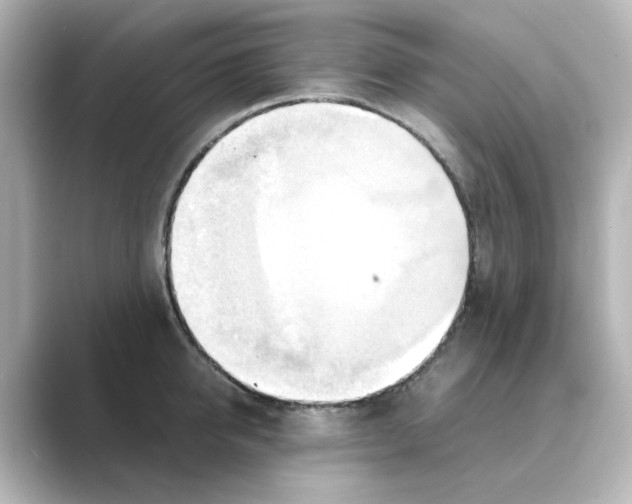 X0000088740950200706212054