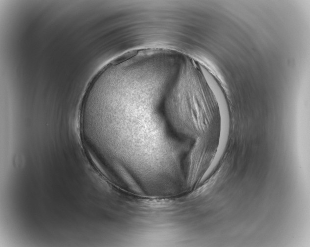 X0000088740952200706212054