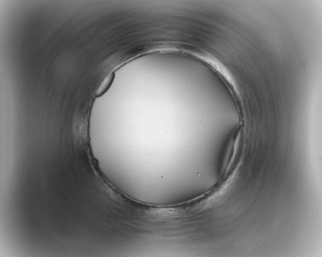 X0000088740953200706212054