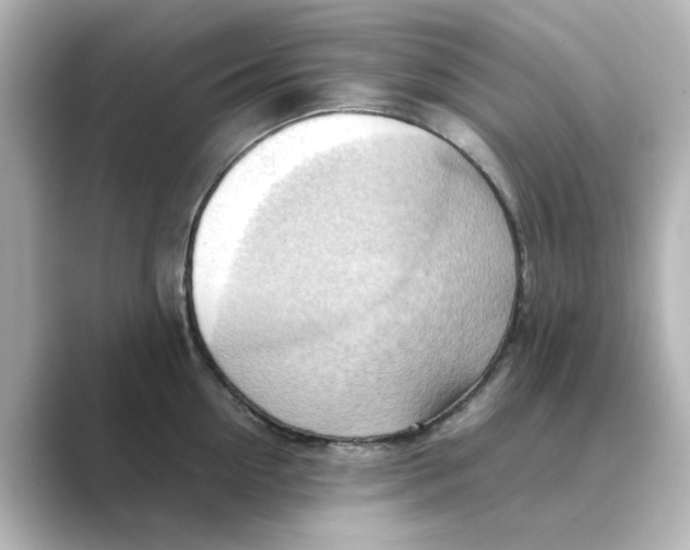 X0000088740954200706212054