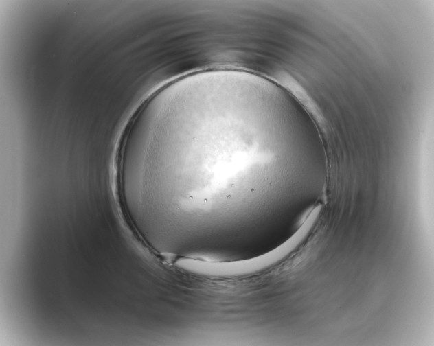 X0000088740955200706212054