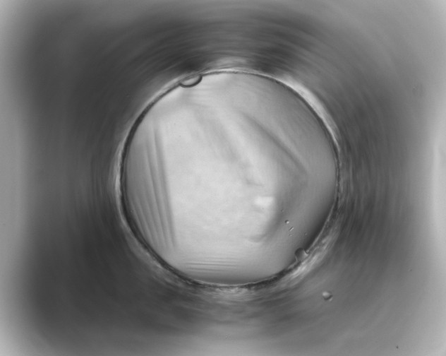 X0000088740957200706212054