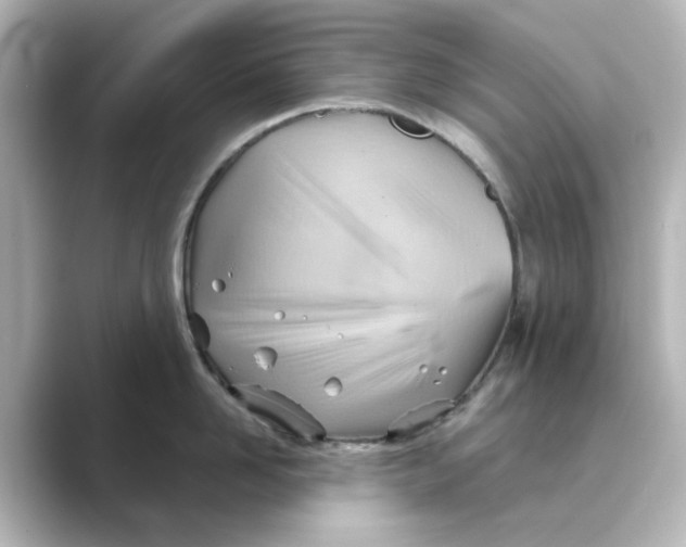 X0000088740958200706212054