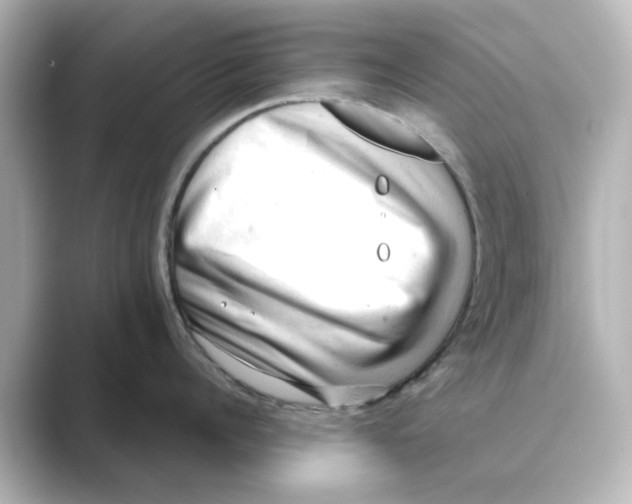X0000088740960200706212054