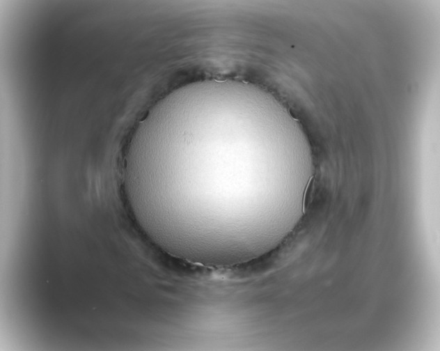 X0000088740961200706212054
