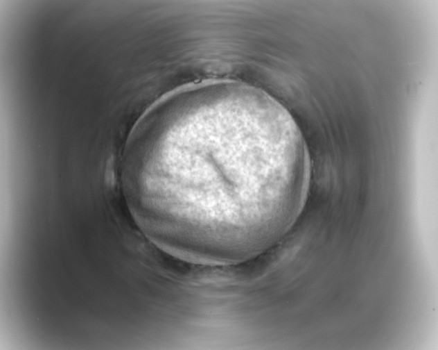 X0000088740962200706212054