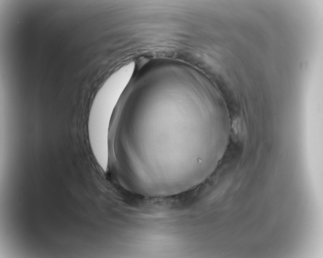 X0000088740963200706212054