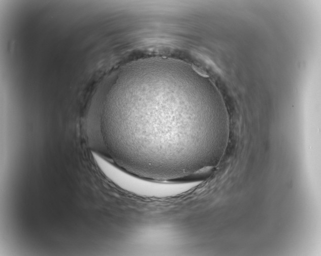 X0000088740965200706212054