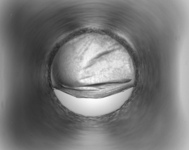 X0000088740968200706212054