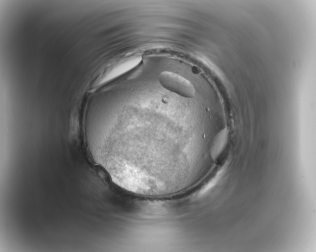 X0000088740969200706212054