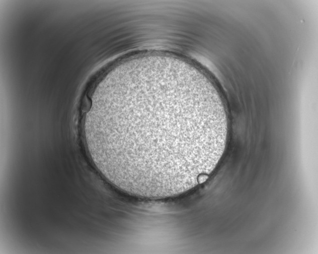 X0000088740971200706212054