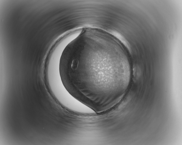 X0000088740972200706212054