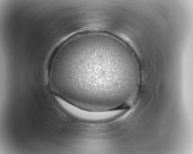 X0000088740973200706212054