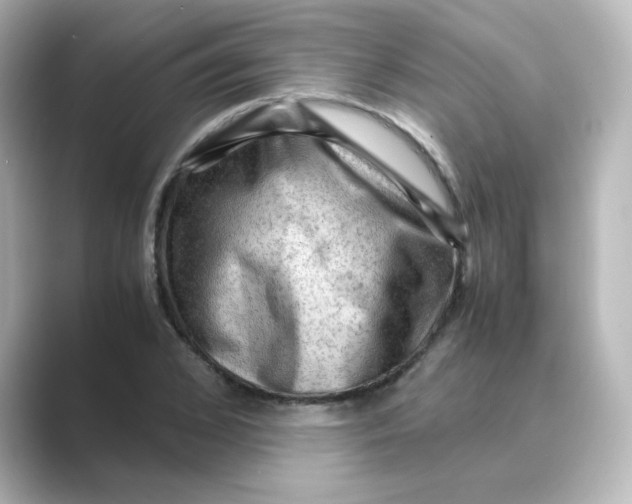 X0000088740976200706212054