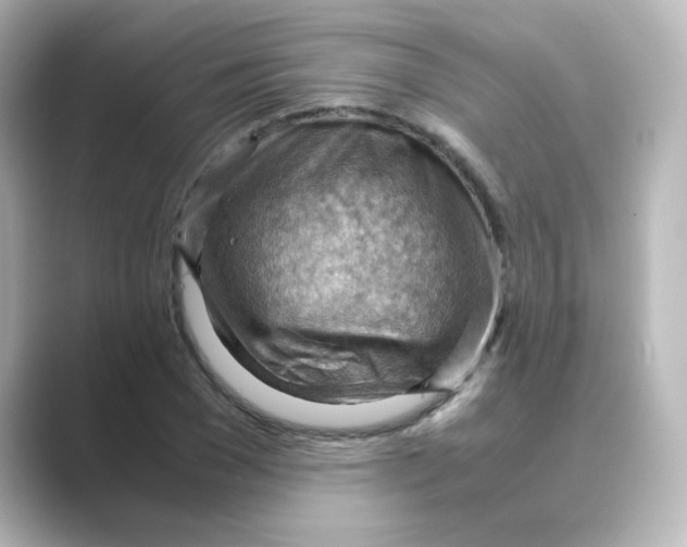 X0000088740977200706212054