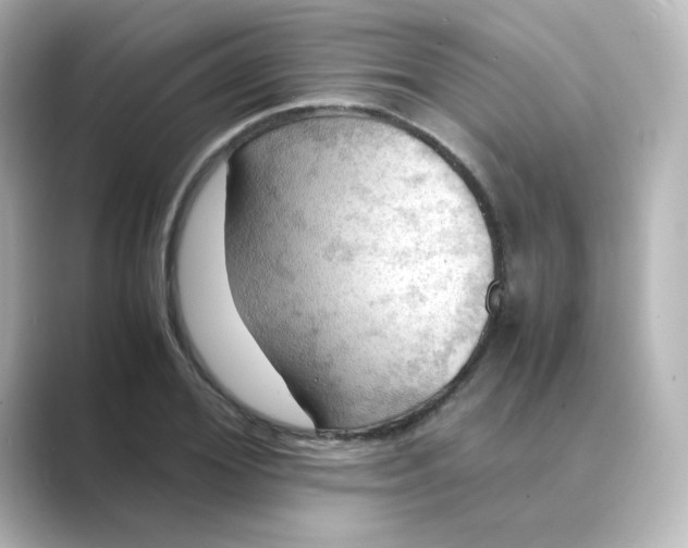 X0000088740980200706212054
