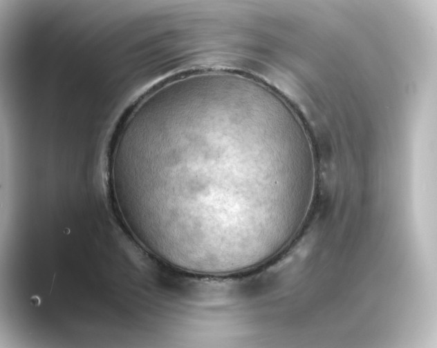 X0000088740981200706212054