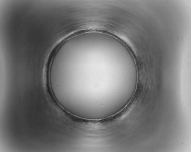 X0000088740983200706212054