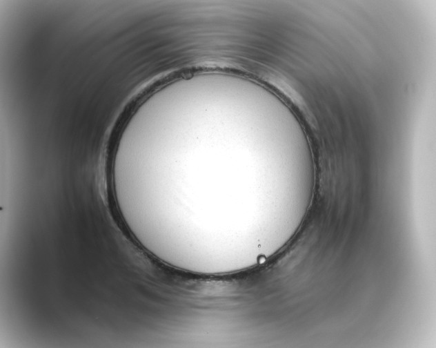 X0000088740984200706212054