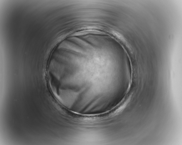 X0000088740985200706212054