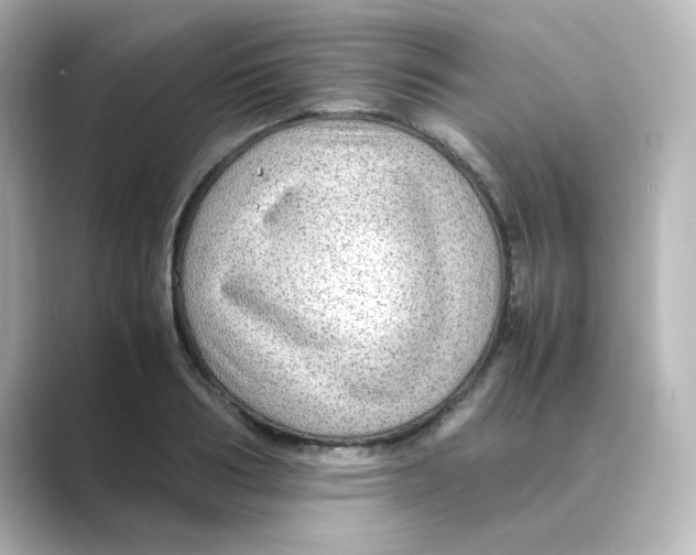 X0000088740986200706212054