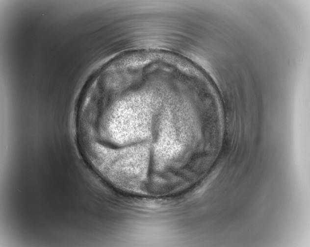 X0000088740987200706212053