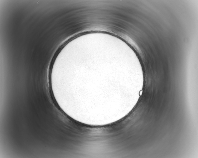 X0000088740988200706212053