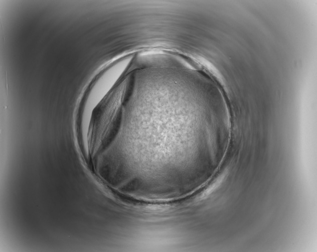 X0000088740989200706212053