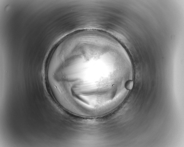 X0000088740990200706212053
