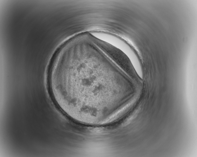 X0000088740991200706212053