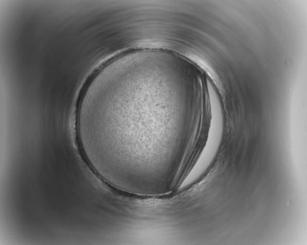 X0000088740992200706212053