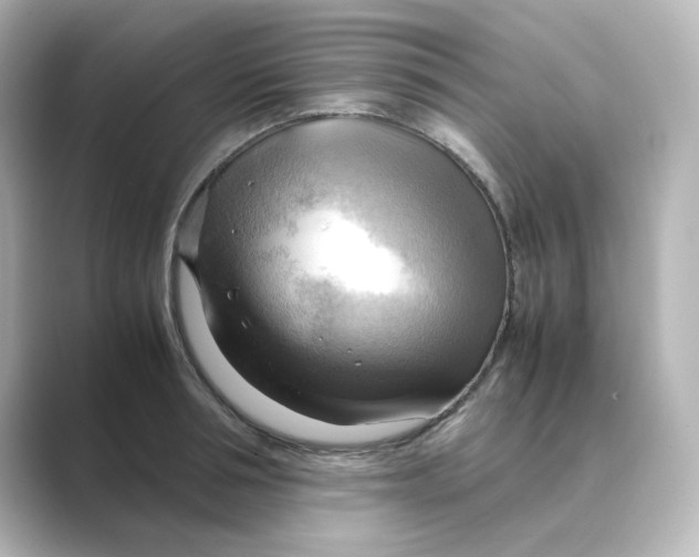 X0000088740994200706212053