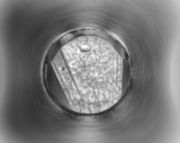 X0000088740995200706212053